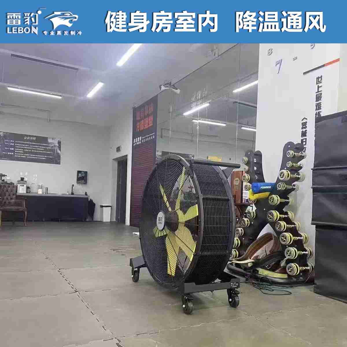 健身房室内大厅   EF4822D雷豹大风扇  降温通风