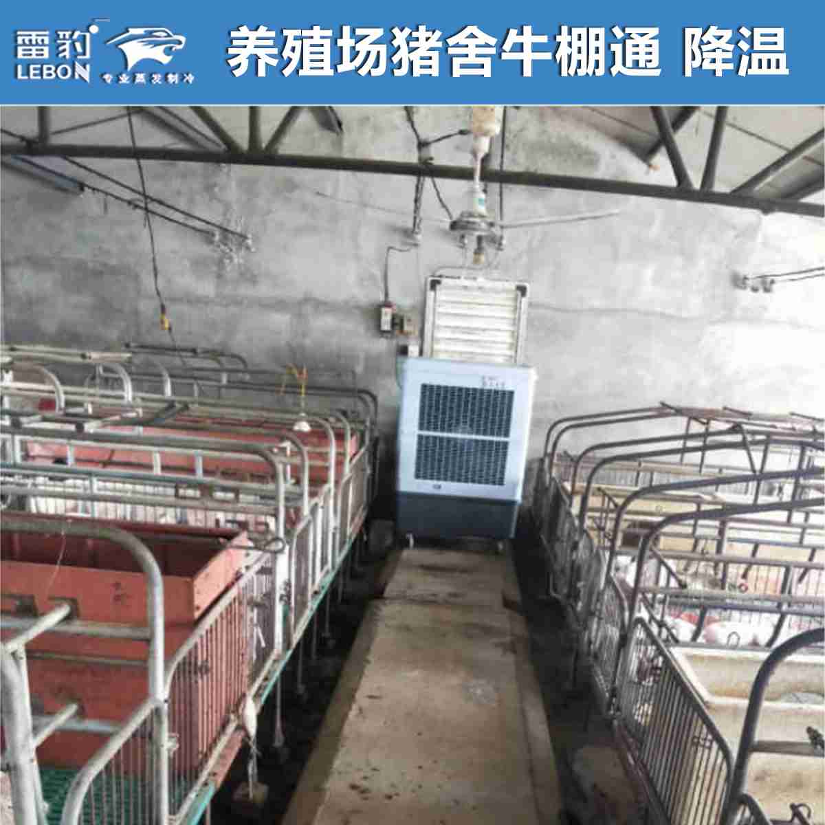 雷豹移动冷风机MFC18000D 养殖场猪舍牛棚通风降温